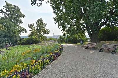 Ovenecká, Holešovice - Prague 7 | Rent, Apartment One-bedroom (2+kk), 40 m²