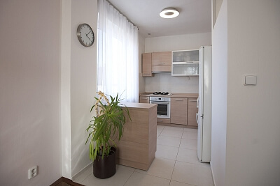 Tejnická, Strašnice - Prague 10 | Rent, Apartment One-bedroom (2+kk), 55 m²