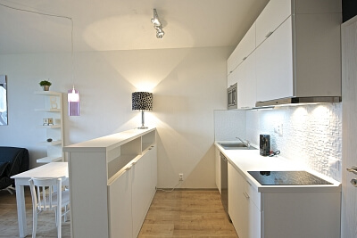 Freyova, Vysočany - Prague 9 | Rent, Apartment Studio (1+kk), 33 m²