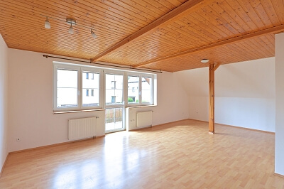 Žilovská, Řeporyje - Prague 5 | Rent, House Six-bedroom (7+kk), 500 m²