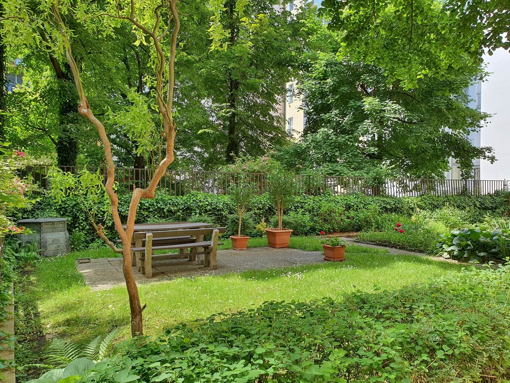 Baranova, Vinohrady - Praha 3 | Pronájem, Byt 2+kk, 97 m²