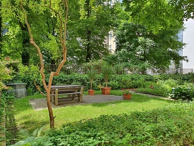 Baranova, Vinohrady - Praha 3 | Pronájem, Byt 2+kk, 97 m²