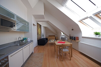 Opatovická, Staré Město - Prague 1 | Sale, Apartment Studio (1+kk), 46 m²