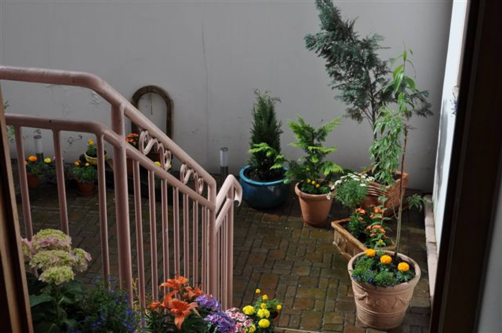 Vlkova, Žižkov - Prague 3 | Rent, Apartment One-bedroom (2+kk), 52 m²