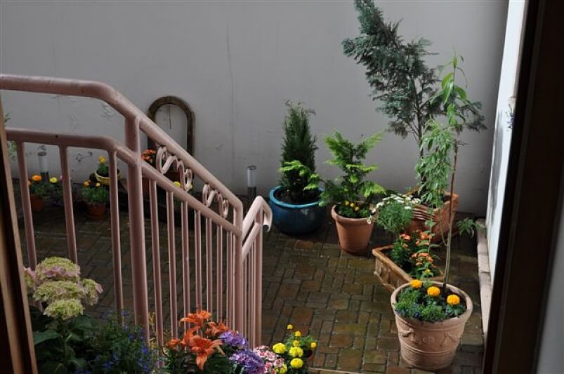 Vlkova, Žižkov - Prague 3 | Rent, Apartment One-bedroom (2+kk), 52 m²