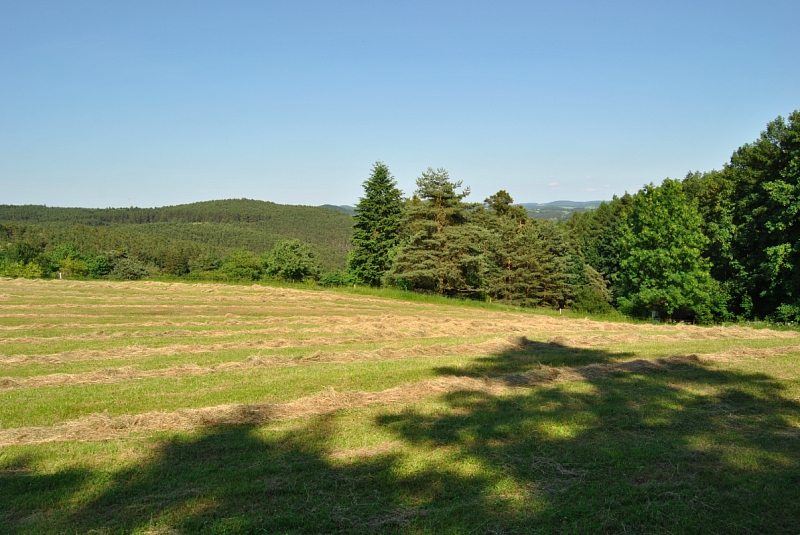 Zadní Háje, Příbram | Prodej, Pozemek, 6 537 m²