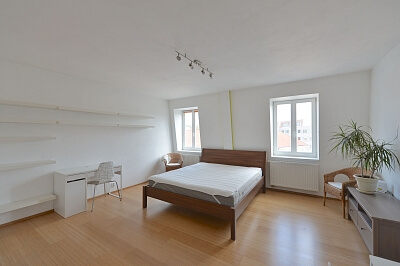 Havlíčkovo náměstí, Žižkov - Prague 3 | Rent, Apartment Studio (1+kk), 44 m²