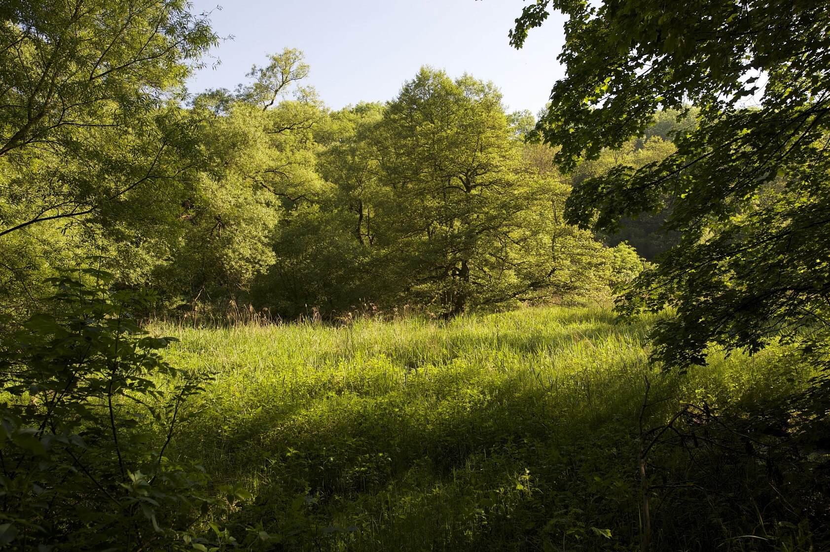 U Vizerky, Dejvice - Praha 6 | Prodej, Pozemek, 3 208 m²