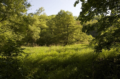 U Vizerky, Dejvice - Prague 6 | Sale, Land, 3 208 m²