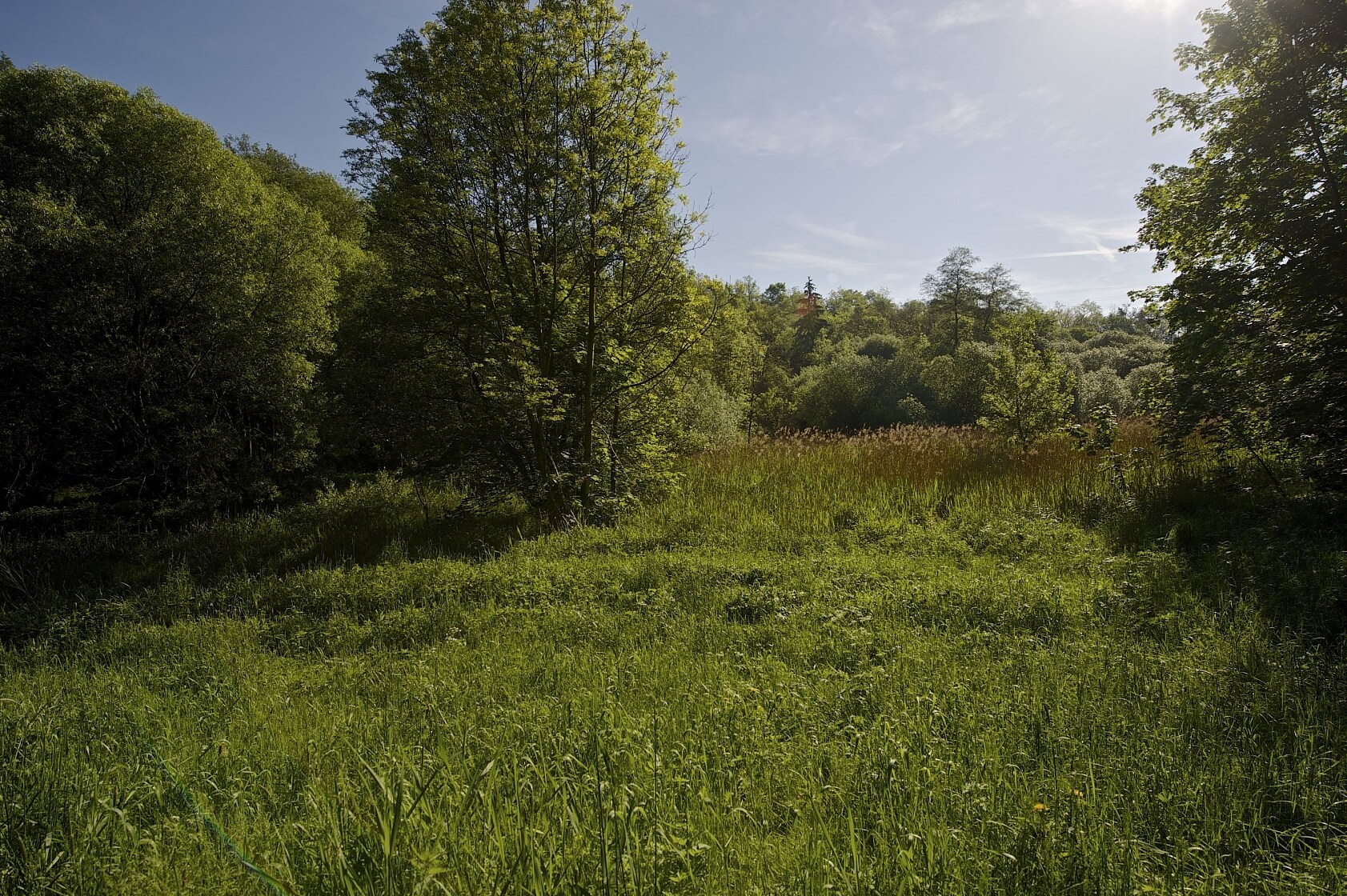 U Vizerky, Dejvice - Prague 6 | Sale, Land, 3 208 m²