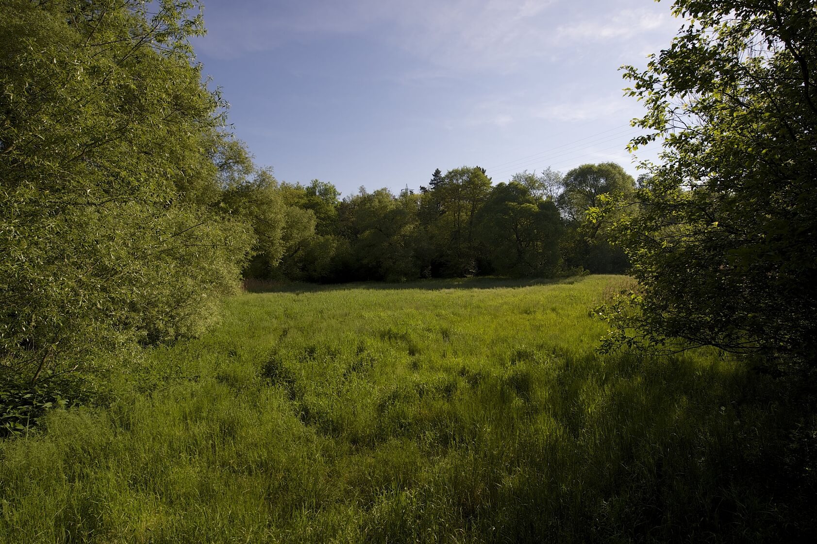 U Vizerky, Dejvice - Prague 6 | Sale, Land, 3 208 m²