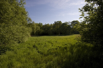 U Vizerky, Dejvice - Prague 6 | Sale, Land, 3 208 m²