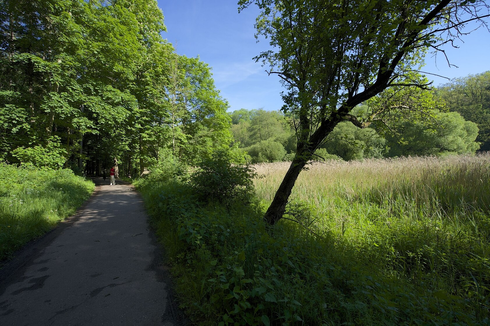 U Vizerky, Dejvice - Prague 6 | Sale, Land, 3 208 m²