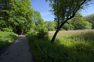 U Vizerky, Dejvice - Prague 6 | Sale, Land, 3 208 m²