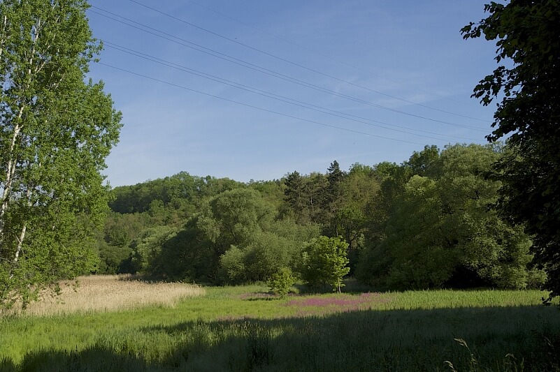 U Vizerky, Dejvice - Prague 6 | Sale, Land, 3 208 m²