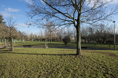 Jilmová, Žižkov - Praha 3 | Prodej, Rodinný dům 6+1, 245 m²