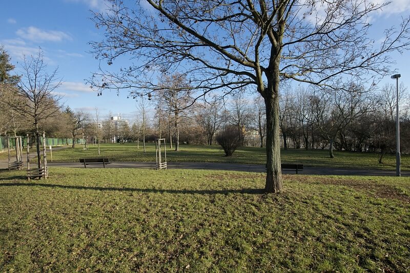 Jilmová, Žižkov - Prague 3 | Sale, House Five-bedroom (6+1), 245 m²