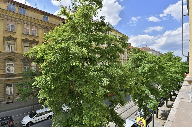 Korunní, Vinohrady - Praha 2 | Pronájem, Byt 1+1, 40 m²