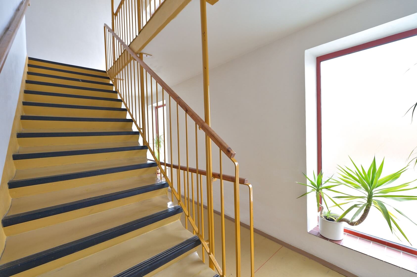 Lumierů, Barrandov - Praha 5 | Pronájem, Byt 3+kk, 72 m²