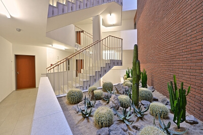 Bechyňova, Dejvice - Praha 6 | Pronájem, Byt 2+kk, 79 m²