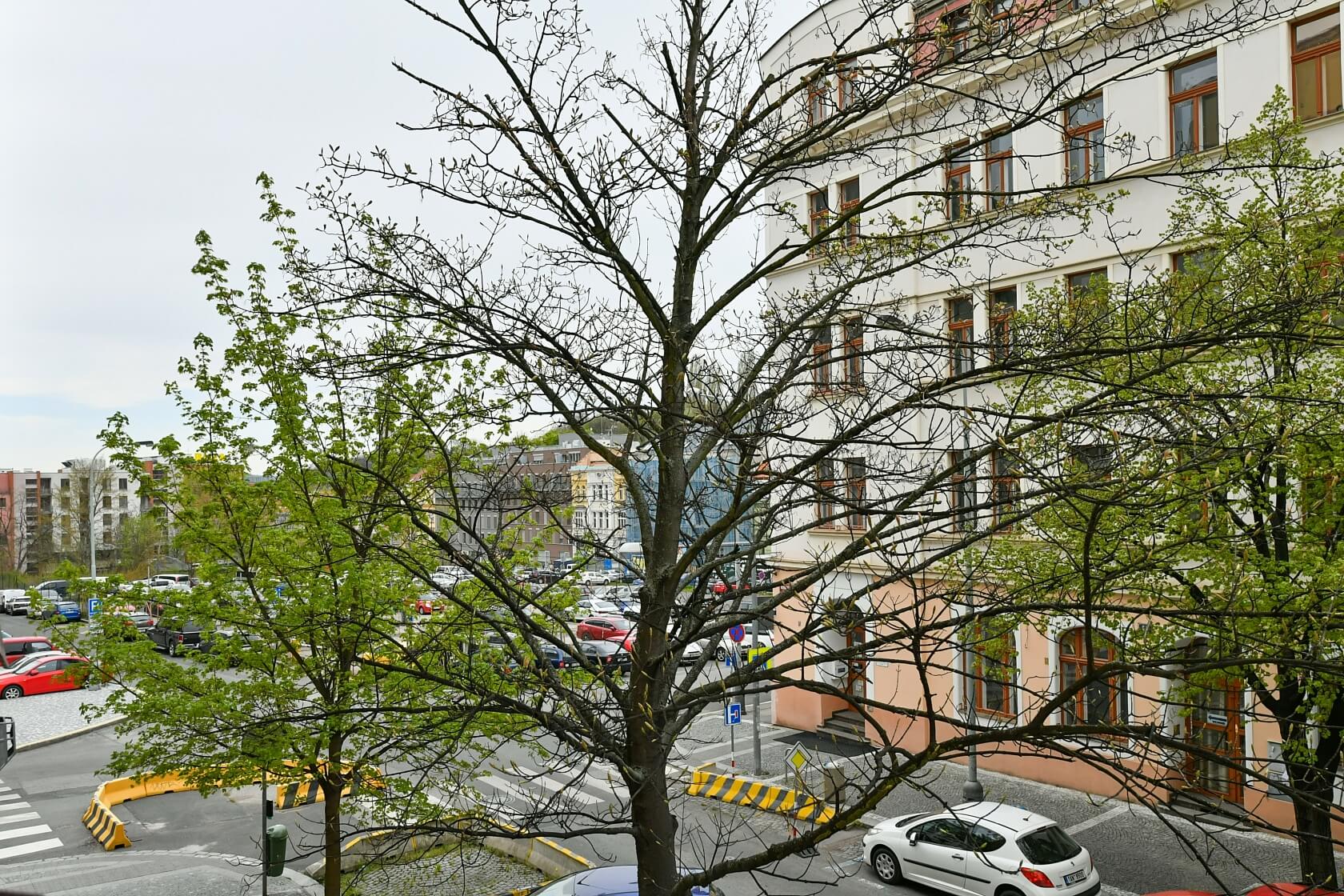 Ostromečská, Žižkov - Praha 3 | Pronájem, Byt 3+kk, 84 m²