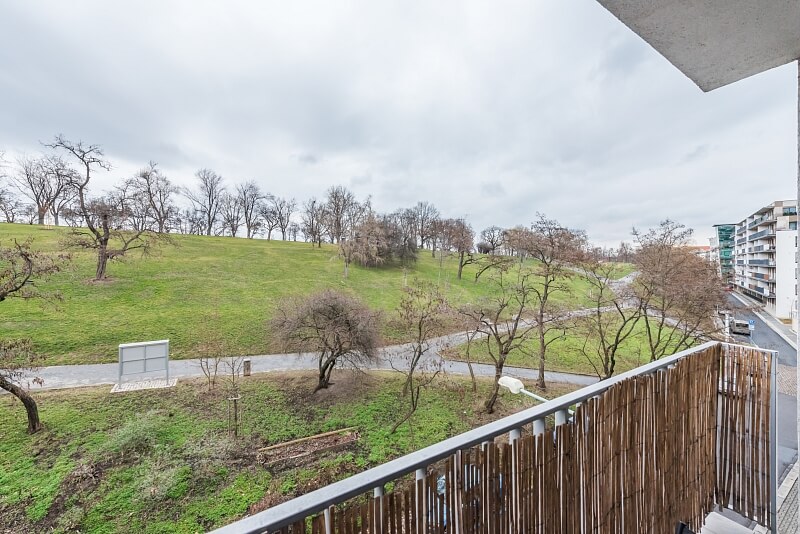 Kališnická, Žižkov - Prague 3 | Rent, Apartment Two-bedroom (3+kk), 109 m²