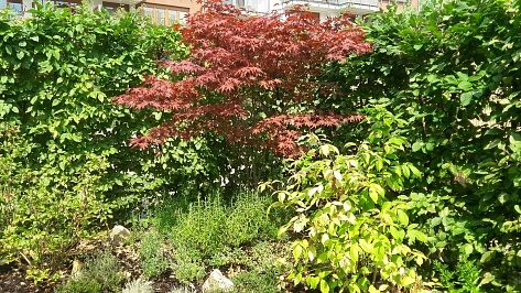 Na Císařce, Smíchov - Praha 5 | Pronájem, Byt 2+kk, 54 m²