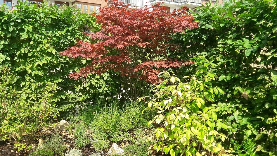 Na Císařce, Smíchov - Prague 5 | Rent, Apartment One-bedroom (2+kk), 54 m²