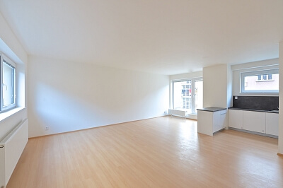 Stará cesta, Braník - Prague 4 | Rent, Apartment Two-bedroom (3+kk), 152 m²