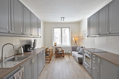 U Družstva Repo, Nusle - Prague 4 | Rent, Apartment One-bedroom (2+kk), 48 m²