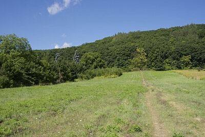 Hatě, Brno - Ivanovice - Brno-město | Sale, Residential project