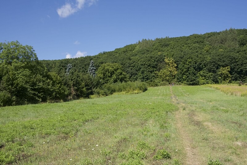 Hatě, Brno - Ivanovice - Brno-město | Sale, Residential project