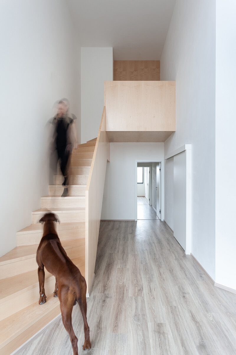 Mlýnská, Brno - střed - Brno-město | Sale, Residential project