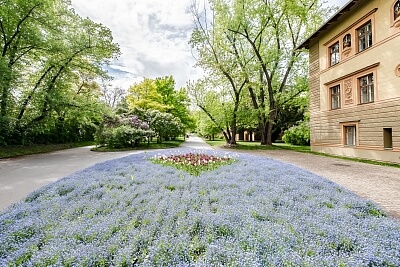 Rostovská, Vršovice - Prague 10 | Rent, Apartment Two-bedroom (3+kk), 94 m²