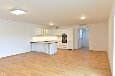 Holečkova, Smíchov - Prague 5 | Rent, Apartment One-bedroom (2+kk), 93 m²