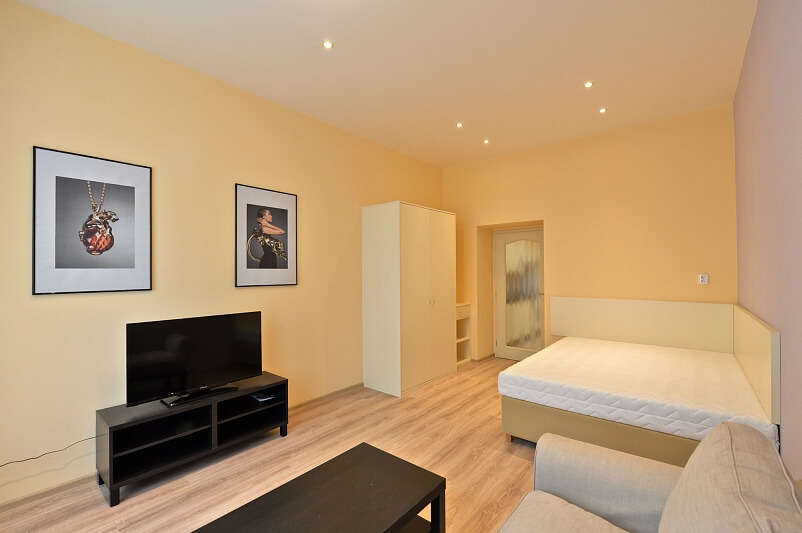 Máchova, Vinohrady - Praha 2 | Pronájem, Byt 1+1, 40 m²