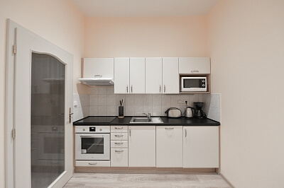 Máchova, Vinohrady - Praha 2 | Pronájem, Byt 1+1, 40 m²