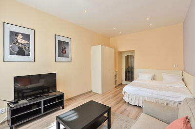 Máchova, Vinohrady - Praha 2 | Pronájem, Byt 1+1, 40 m²