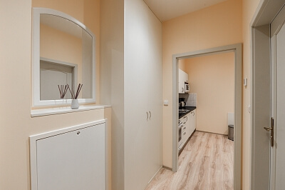 Máchova, Vinohrady - Praha 2 | Pronájem, Byt 1+1, 40 m²