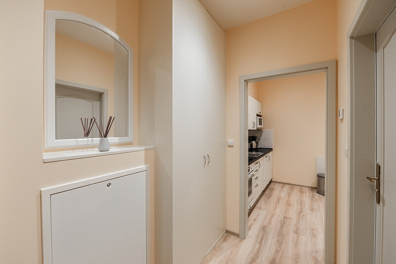 Máchova, Vinohrady - Praha 2 | Pronájem, Byt 1+1, 40 m²