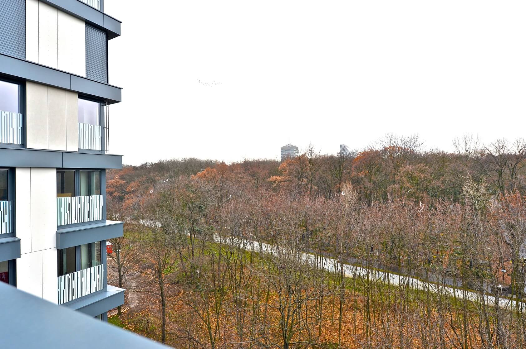 Olšanská, Žižkov - Praha 3 | Pronájem, Byt 1+kk, 37 m²