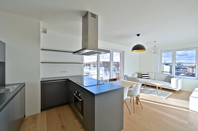 V Háji, Holešovice - Prague 7 | Rent, Apartment One-bedroom (2+kk), 71 m²