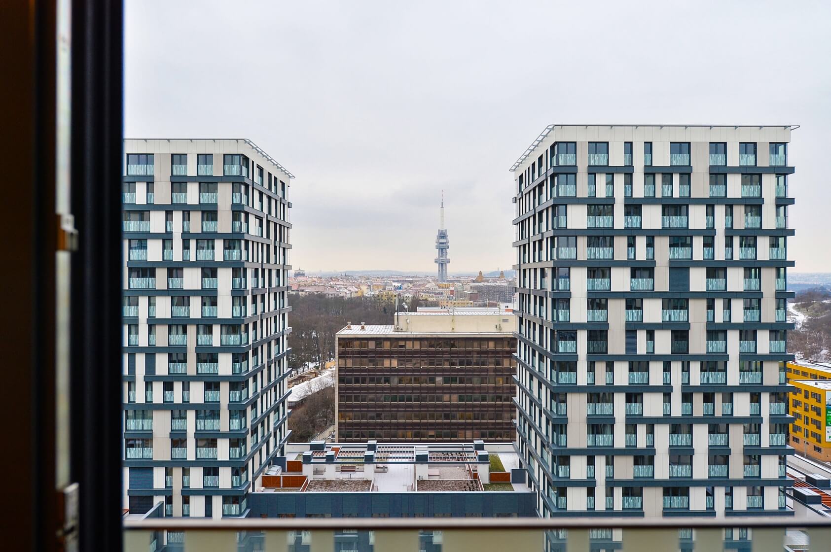 Olšanská, Žižkov - Praha 3 | Pronájem, Byt 1+kk, 36 m²