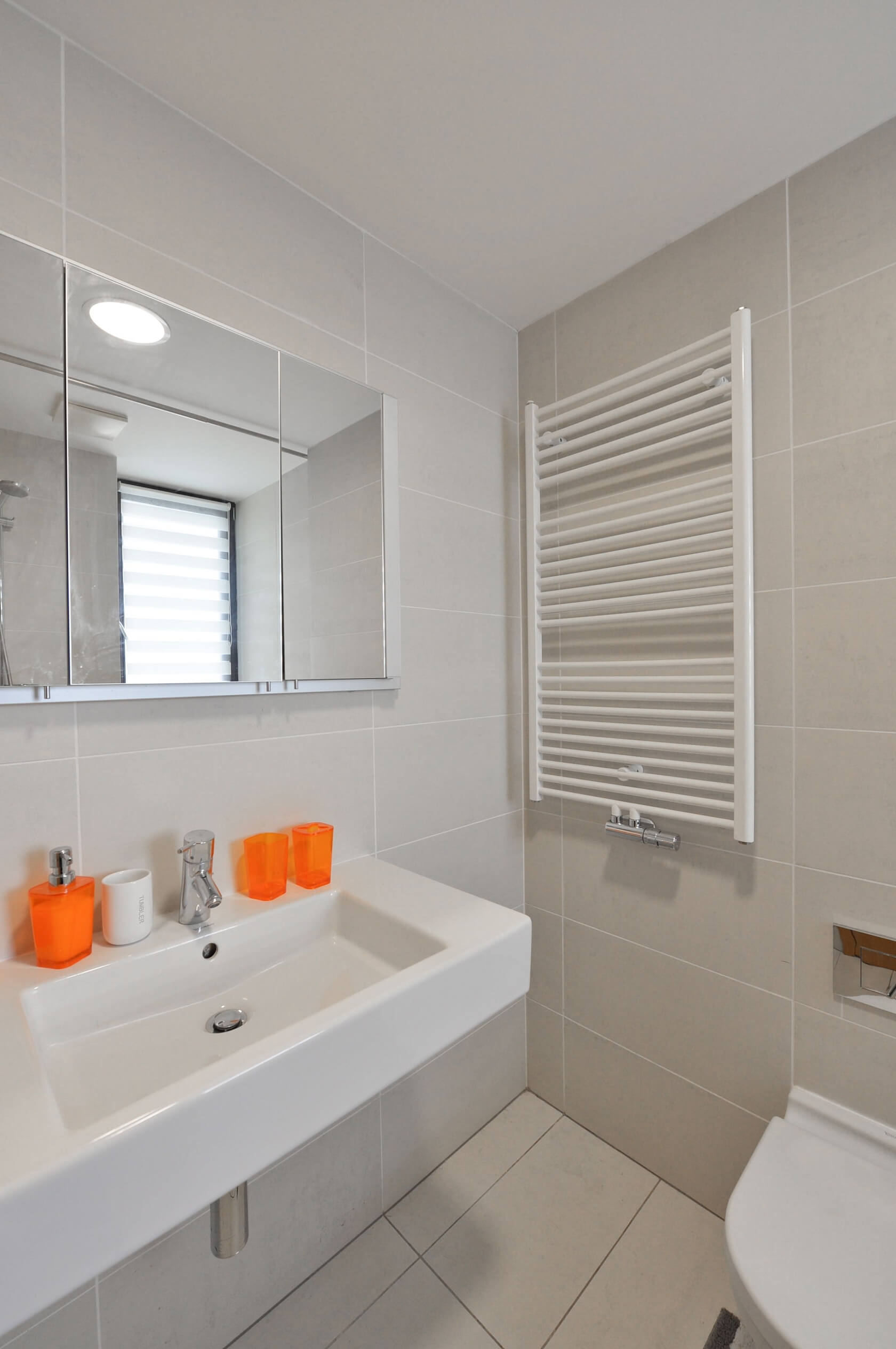 Pitterova, Žižkov - Prague 3 | Rent, Apartment One-bedroom (2+kk), 102 m²