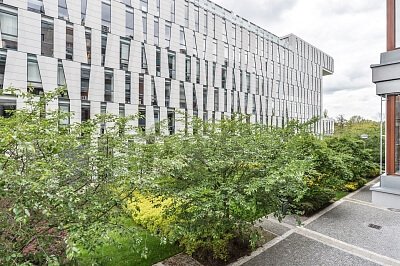 Rohanské nábřeží, Karlín - Praha 8 | Pronájem, Byt 2+kk, 65 m²