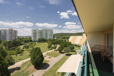 Plachty, Brno-město | Rent, Apartment Studio (1+1), 45 m²