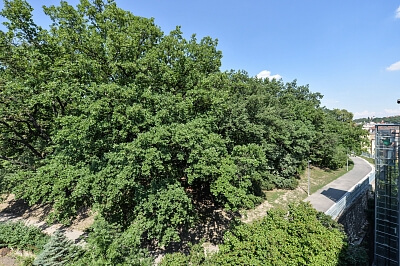 Plzeňská, Smíchov - Prague 5 | Sale, Apartment One-bedroom (2+kk), 67 m²