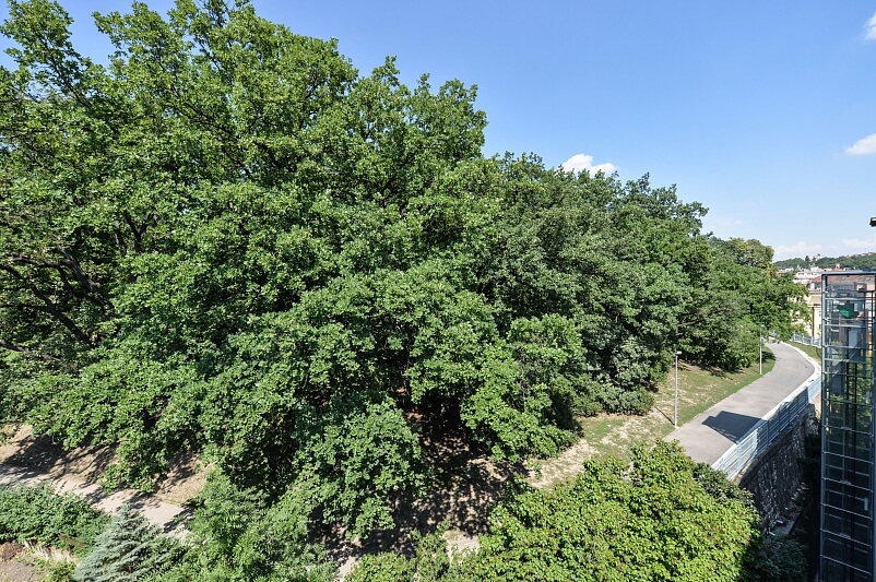 Plzeňská, Smíchov - Prague 5 | Sale, Apartment One-bedroom (2+kk), 67 m²