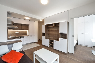 Řipská, Vinohrady - Prague 3 | Rent, Apartment One-bedroom (2+kk), 36 m²