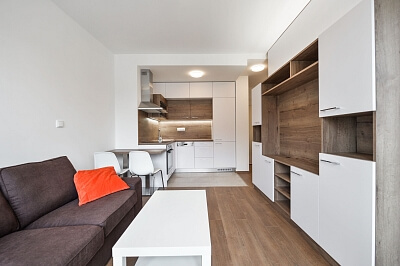 Řipská, Vinohrady - Prague 3 | Rent, Apartment One-bedroom (2+kk), 36 m²